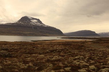 Austurland bölgesindeki İzlanda 'nın doğusundaki Reyoarfjorour fiyordunun görüntüsü