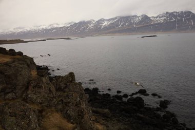 Austurland bölgesindeki İzlanda 'nın doğusundaki Reyoarfjorour fiyordunun görüntüsü