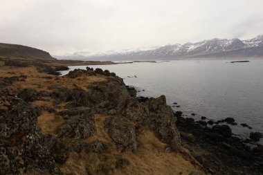Austurland bölgesindeki İzlanda 'nın doğusundaki Reyoarfjorour fiyordunun görüntüsü