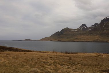 Austurland bölgesinde, İzlanda 'nın doğusunda bulunan Reyoarfjorour fiyordunun görüntüsü. İzlanda' nın doğu kıyısındaki en uzun fiyorttur.