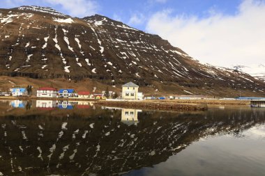 Seyisfjrur, İzlanda 'nın aynı adı taşıyan fiyordun sonunda yer alan bir şehirdir. Şehir Mlaing belediyesinde yer almaktadır..