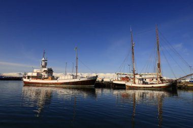 Husavik, Norourland eystra 'nın kuzeyindeki Norourping belediyesinde yer alan bir İzlanda yerlisidir.