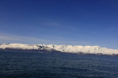 Kuzey İzlanda 'da bir körfez olan Skjalfandi' ye bakın..