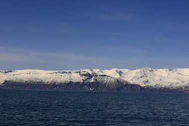 Kuzey İzlanda 'da bir körfez olan Skjalfandi' ye bakın..