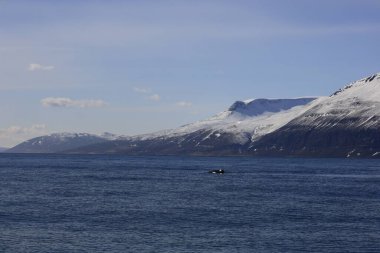 Kuzey İzlanda 'da bir körfez olan Skjalfandi' ye bakın..