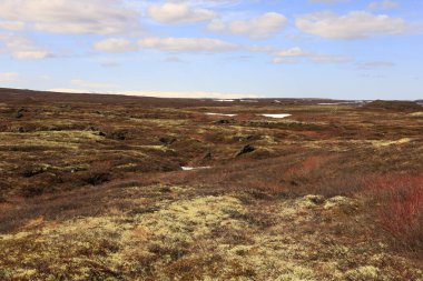 İzlanda 'nın kuzeydoğu bölgesindeki bir dağın görüş açısı