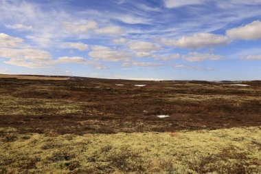 İzlanda 'nın kuzeydoğu bölgesindeki bir dağın görüş açısı