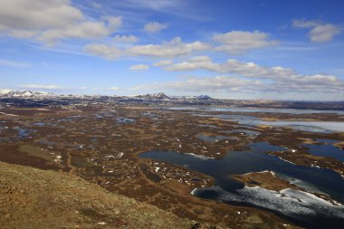 Myvatn, İzlanda 'nın kuzeyinde, Krafla volkanı yakınlarında aktif bir volkanik bölgede bulunan sığ bir göldür. Yüksek miktarda biyolojik aktivitesi var.