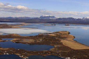 Myvatn, İzlanda 'nın kuzeyinde, Krafla volkanı yakınlarında aktif bir volkanik bölgede bulunan sığ bir göldür. Yüksek miktarda biyolojik aktivitesi var.