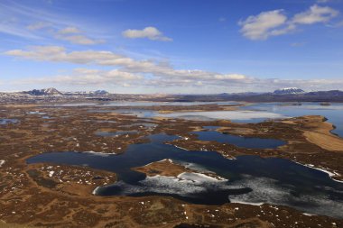 Myvatn, İzlanda 'nın kuzeyinde, Krafla volkanı yakınlarında aktif bir volkanik bölgede bulunan sığ bir göldür. Yüksek miktarda biyolojik aktivitesi var.