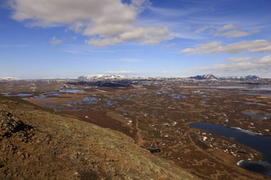 Myvatn, İzlanda 'nın kuzeyinde, Krafla volkanı yakınlarında aktif bir volkanik bölgede bulunan sığ bir göldür. Yüksek miktarda biyolojik aktivitesi var.