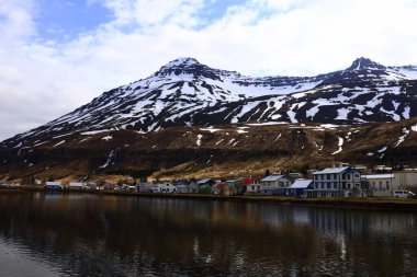 Seyisfjorour, İzlanda 'nın doğu kesiminde, fiyordun en iç noktasında bulunan bir kasabadır. Kasaba Mulaping belediyesinde yer almaktadır..