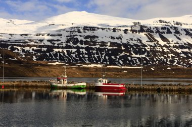 Seyoisfjorur, İzlanda 'nın doğu kesiminde, aynı adı taşıyan fiyordun en iç noktasında bulunan bir kasabadır. Kasaba Mlaing belediyesinde yer almaktadır..