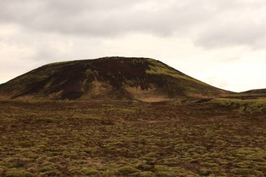 Reykjanesfolkvangur İzlanda 'nın güneydoğusunda, Reykjanes yarımadasında yer alan bir doğa koruma alanıdır.