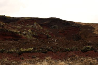 Reykjanesfolkvangur İzlanda 'nın güneydoğusunda, Reykjanes yarımadasında yer alan bir doğa koruma alanıdır.