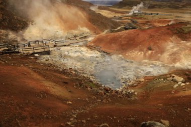 Reykjanesfolkvangur İzlanda 'nın güneydoğusunda, Reykjanes yarımadasında yer alan bir doğa koruma alanıdır.