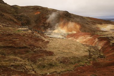 Reykjanesfolkvangur İzlanda 'nın güneydoğusunda, Reykjanes yarımadasında yer alan bir doğa koruma alanıdır.