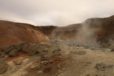 Reykjanesfolkvangur İzlanda 'nın güneydoğusunda, Reykjanes yarımadasında yer alan bir doğa koruma alanıdır.