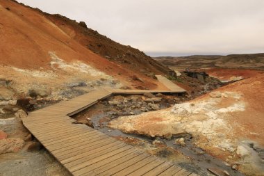 Reykjanesfolkvangur İzlanda 'nın güneydoğusunda, Reykjanes yarımadasında yer alan bir doğa koruma alanıdır.