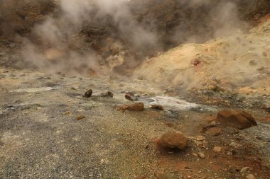 Reykjanesfolkvangur İzlanda 'nın güneydoğusunda, Reykjanes yarımadasında yer alan bir doğa koruma alanıdır.