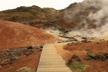 Reykjanesfolkvangur İzlanda 'nın güneydoğusunda, Reykjanes yarımadasında yer alan bir doğa koruma alanıdır.