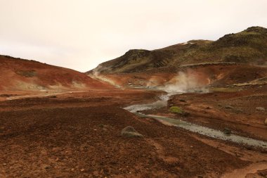 Reykjanesfolkvangur İzlanda 'nın güneydoğusunda, Reykjanes yarımadasında yer alan bir doğa koruma alanıdır.