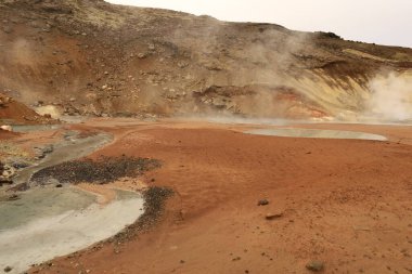 Reykjanesfolkvangur İzlanda 'nın güneydoğusunda, Reykjanes yarımadasında yer alan bir doğa koruma alanıdır.