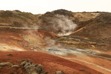 Reykjanesfolkvangur İzlanda 'nın güneydoğusunda, Reykjanes yarımadasında yer alan bir doğa koruma alanıdır.