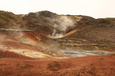 Reykjanesfolkvangur İzlanda 'nın güneydoğusunda, Reykjanes yarımadasında yer alan bir doğa koruma alanıdır.