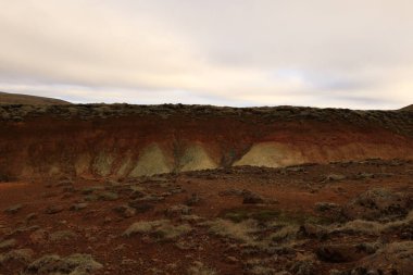 Reykjanesfolkvangur İzlanda 'nın güneydoğusunda, Reykjanes yarımadasında yer alan bir doğa koruma alanıdır.