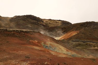 Reykjanesfolkvangur İzlanda 'nın güneydoğusunda, Reykjanes yarımadasında yer alan bir doğa koruma alanıdır.