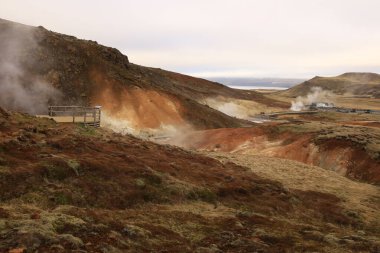 Reykjanesfolkvangur İzlanda 'nın güneydoğusunda, Reykjanes yarımadasında yer alan bir doğa koruma alanıdır.