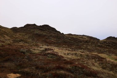 Reykjanesfolkvangur İzlanda 'nın güneydoğusunda, Reykjanes yarımadasında yer alan bir doğa koruma alanıdır.