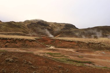 Reykjanesfolkvangur İzlanda 'nın güneydoğusunda, Reykjanes yarımadasında yer alan bir doğa koruma alanıdır.