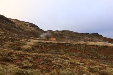 Reykjanesfolkvangur İzlanda 'nın güneydoğusunda, Reykjanes yarımadasında yer alan bir doğa koruma alanıdır.