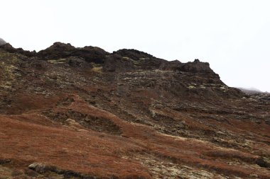 Reykjanesfolkvangur İzlanda 'nın güneydoğusunda, Reykjanes yarımadasında yer alan bir doğa koruma alanıdır.