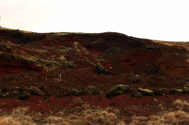 Reykjanesfolkvangur İzlanda 'nın güneydoğusunda, Reykjanes yarımadasında yer alan bir doğa koruma alanıdır.
