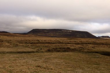 Reykjanesfolkvangur İzlanda 'nın güneydoğusunda, Reykjanes yarımadasında yer alan bir doğa koruma alanıdır.