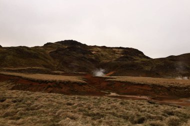 Reykjanesfolkvangur İzlanda 'nın güneydoğusunda, Reykjanes yarımadasında yer alan bir doğa koruma alanıdır.