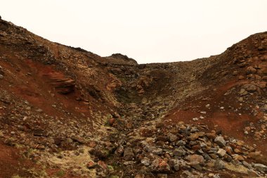 Reykjanesfolkvangur İzlanda 'nın güneydoğusunda, Reykjanes yarımadasında yer alan bir doğa koruma alanıdır.