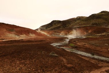 Reykjanesfolkvangur İzlanda 'nın güneydoğusunda, Reykjanes yarımadasında yer alan bir doğa koruma alanıdır.