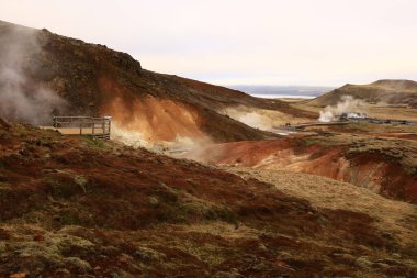 Reykjanesfolkvangur İzlanda 'nın güneydoğusunda, Reykjanes yarımadasında yer alan bir doğa koruma alanıdır.