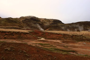 Reykjanesfolkvangur İzlanda 'nın güneydoğusunda, Reykjanes yarımadasında yer alan bir doğa koruma alanıdır.