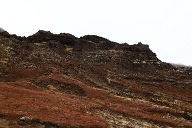 Reykjanesfolkvangur İzlanda 'nın güneydoğusunda, Reykjanes yarımadasında yer alan bir doğa koruma alanıdır.