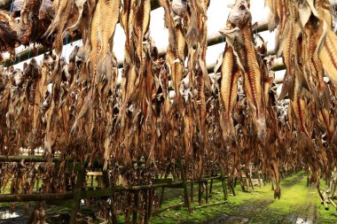 Hafnarfjrour, İzlanda 'da, Reykjavik' in yaklaşık 10 km güneyinde yer alan bir liman kasabası ve belediyesi.