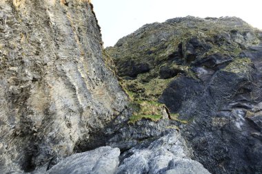 Reynisfjara, İzlanda 'nın güney kıyısında Vik i Myrdal adlı küçük bir balıkçı köyünün yakınında yer alan bir kumsaldır. .