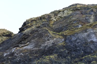 Reynisfjara, İzlanda 'nın güney kıyısında Vik i Myrdal adlı küçük bir balıkçı köyünün yakınında yer alan bir kumsaldır. .