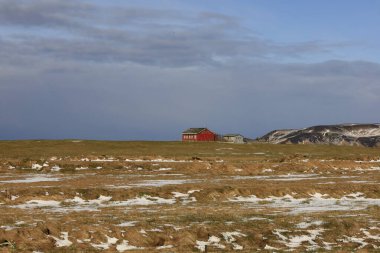 İzlanda 'nın güney kıyısındaki Vik i Myrdal' ın yanındaki bir dağa bak.