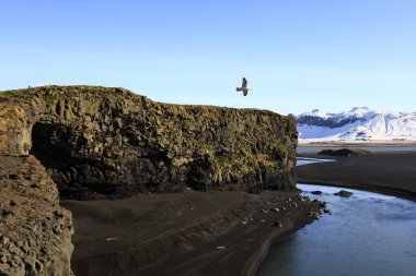 Reynisfjara, İzlanda 'nın güney kıyısında Vik i Myrdal adlı küçük bir balıkçı köyünün yakınında yer alan bir kumsaldır. .