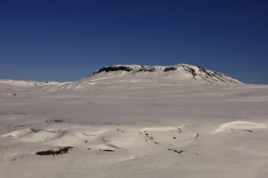 Fjaorargljufur İzlanda 'nın güneydoğusunda bir kanyondur.